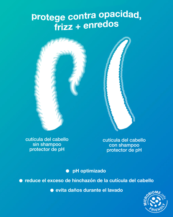 Shampoo damage shield - Imagen 4